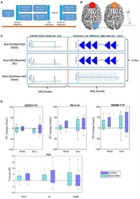 Reorganization of Brain Functional Connectivity Network and Vision Restoration Following Combined tACS-tDCS Treatment After Occipital Stroke